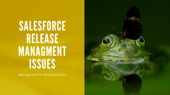 Salesforce Release Management Process